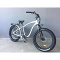 Hummer Hot Sale MTB Electric Bicycle with 1000W Motor